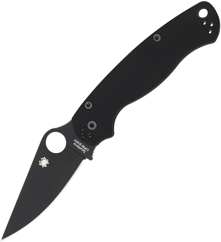 Para Military 2 (PM2)