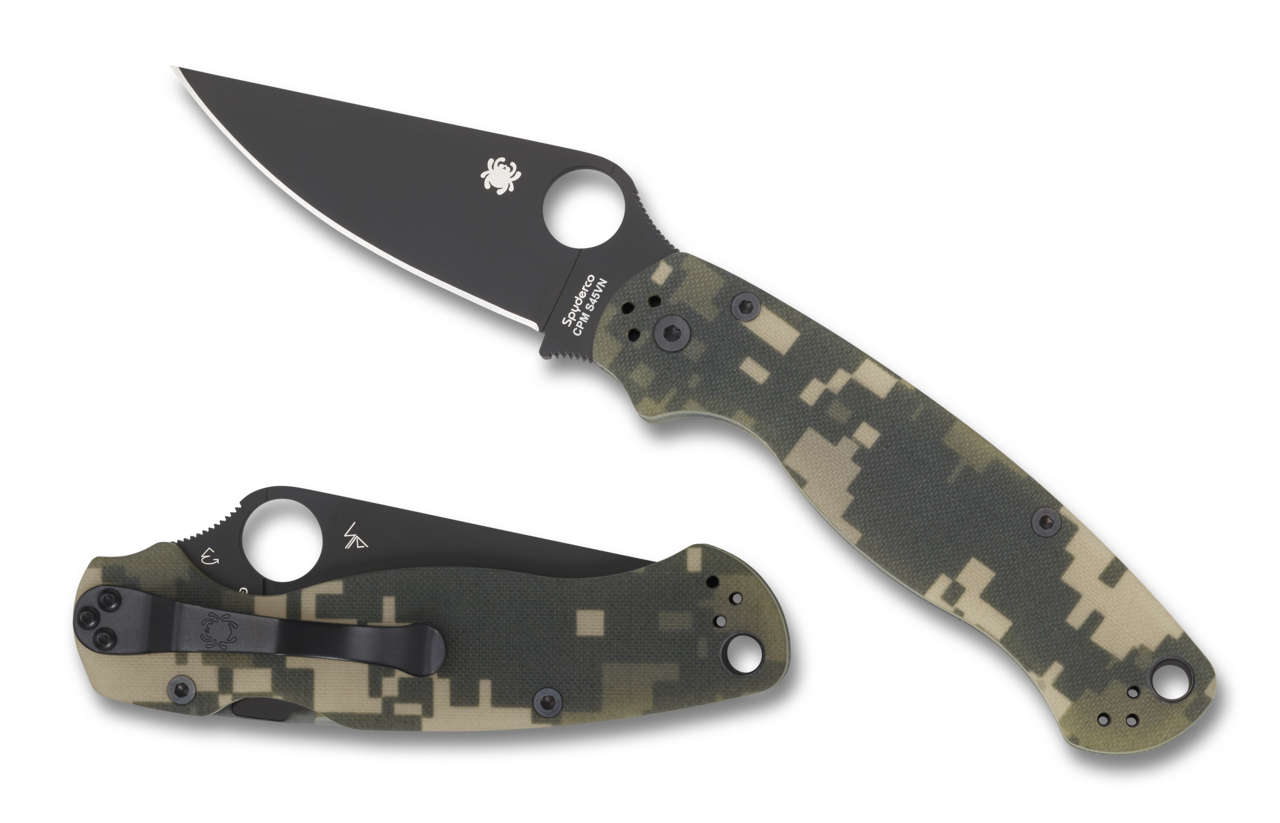 Para Military 2 (PM2)
