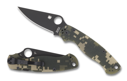 Para Military 2 (PM2)